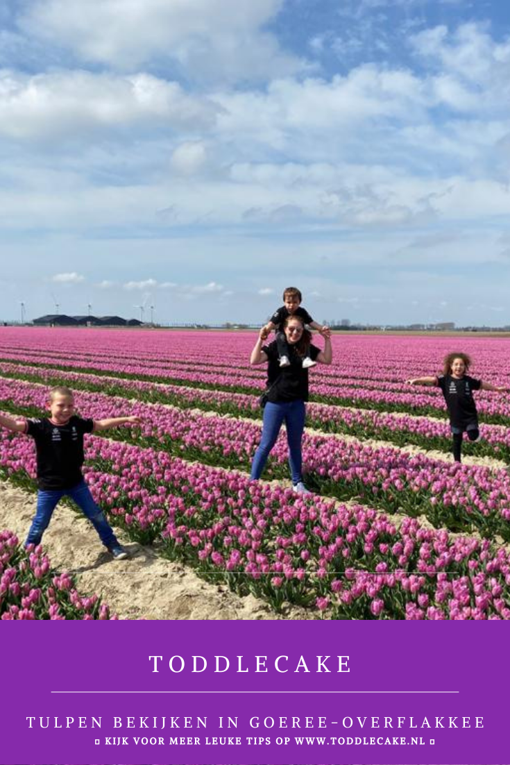Tulpen bekijken in Goeree-Overflakkee